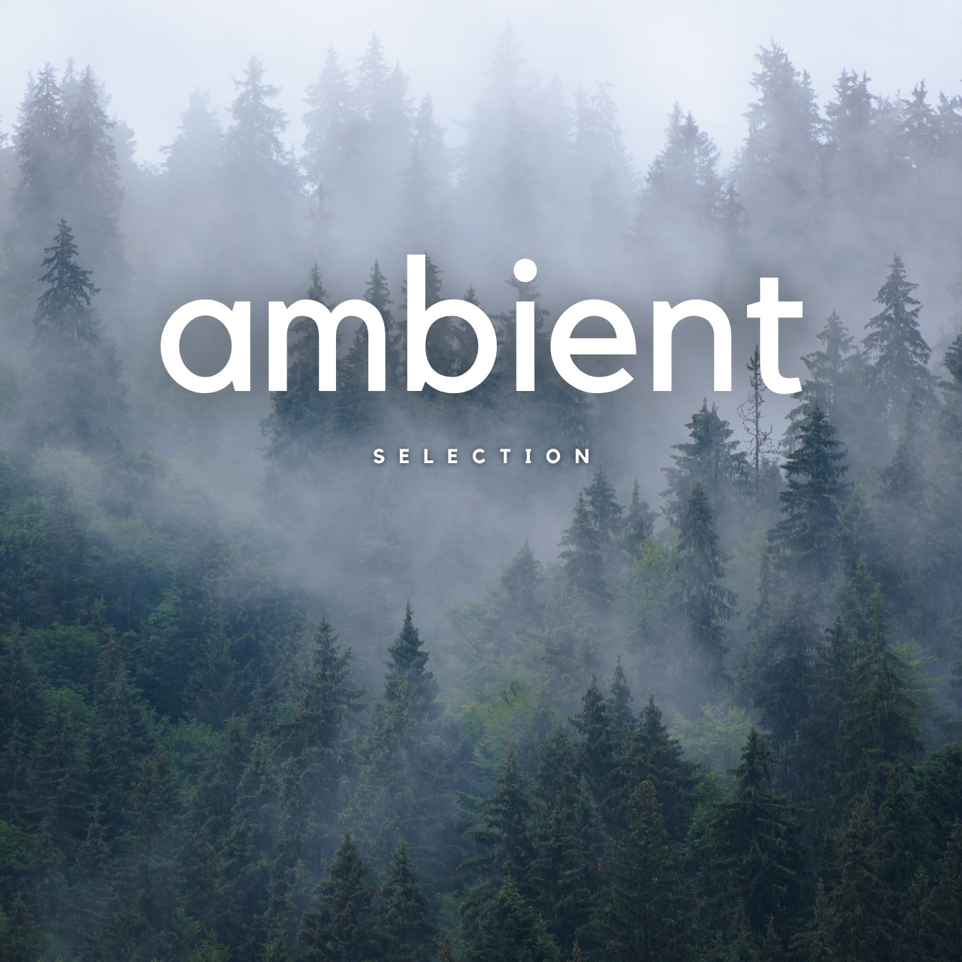 Ambient Selection Playlist
