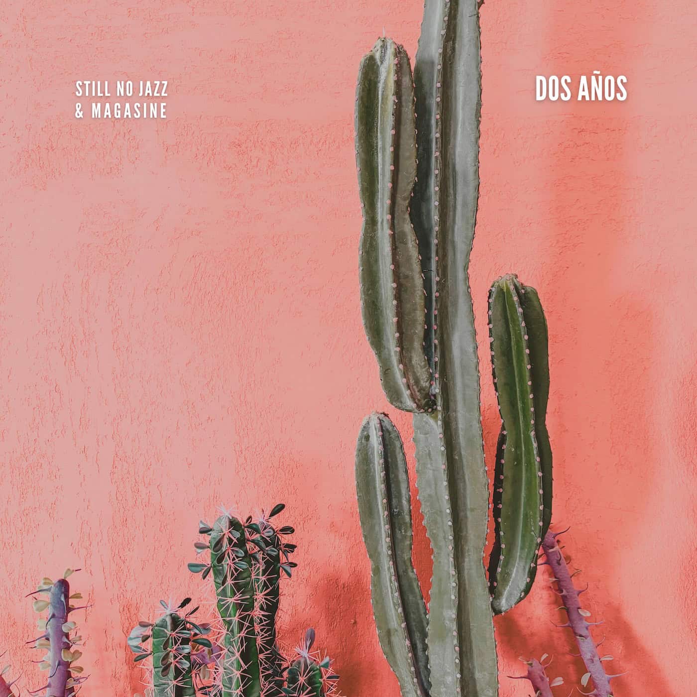 Still No Jazz & Magasine - Dos Años